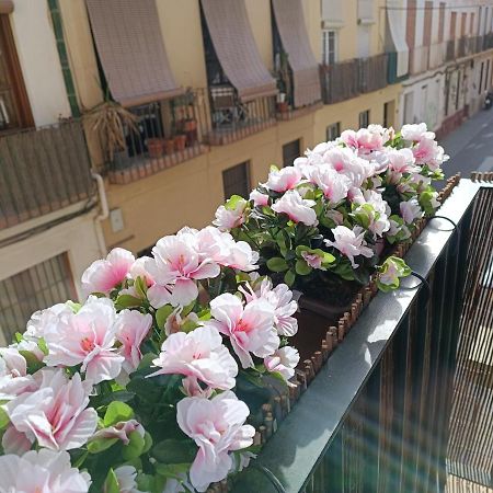 New! Luxury City Center & 2 Balconies 马拉加 外观 照片